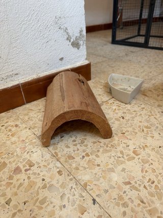 Casa conejos y accesorios