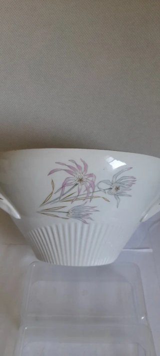 Zuppiera Epiag D.F. Porcellana Bohemia Vintage