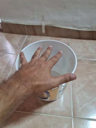 Cubo Palomitas Steph Curry. Ed.Limitada Ultra rara