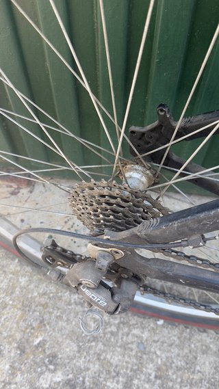 Bicicleta BH Radikal