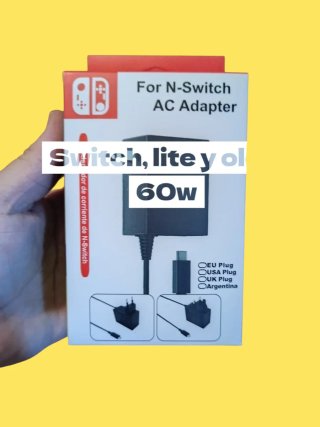60w Nintendo Switch Lite OLED 60W
