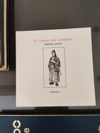 Lote de libros