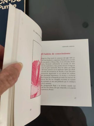 Lote de libros