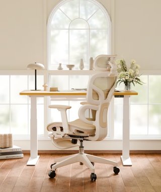 Silla ergonómica FlexiSpot BS5M Pro