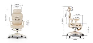 Silla ergonómica FlexiSpot BS5M Pro