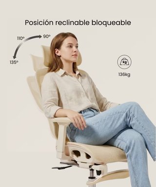 Silla ergonómica FlexiSpot BS5M Pro