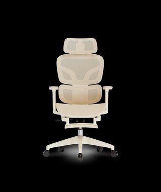 Silla ergonómica FlexiSpot BS5M Pro