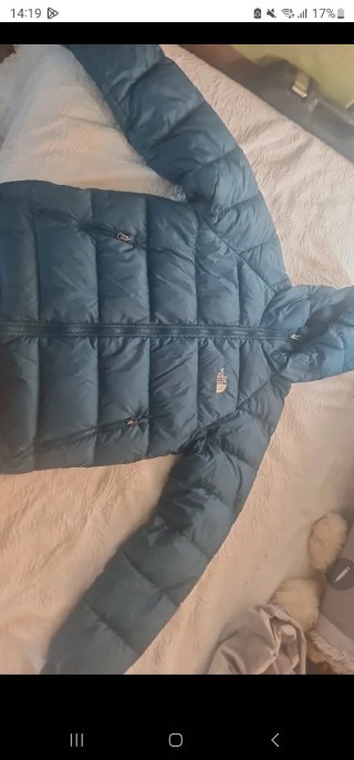 Chaqueta The North Face Azul