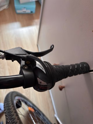 Bicicleta Morada 21