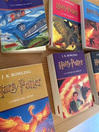 Saga libros Harry Potter en catalan