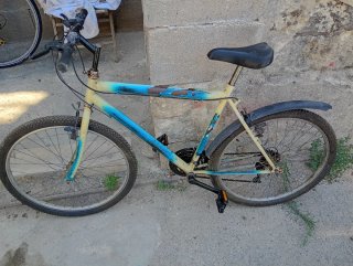 Mountain Bike Usata