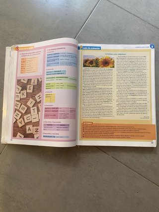 Lengua castellana y literatura 2 Bachillerato