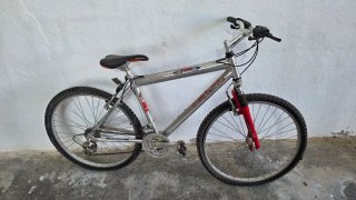 Bicicleta Aluminio Globe Trotter Adulto