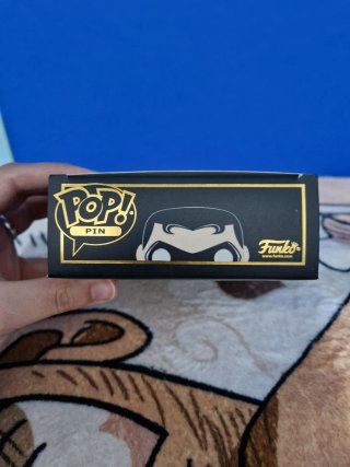 Funko Pop Pin DC Super Heroes Robin 02