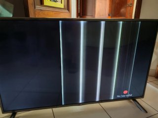 TVs Toshiba y LG 42 con píxeles rotos