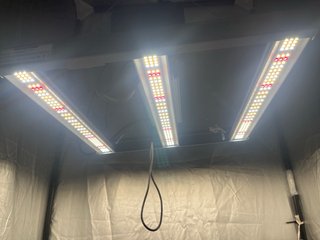 Mars Hydro FC 1500 EVO - Usada 1 cultivo