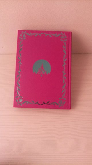 Lote 5 libros Disney
