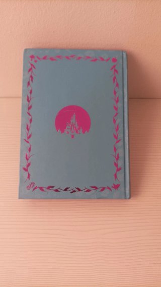 Lote 5 libros Disney
