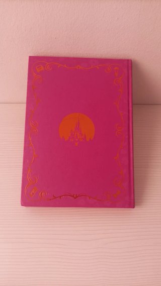 Lote 5 libros Disney