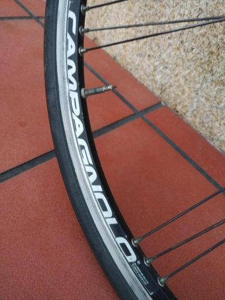 Rueda Delantera Carretera Campagnolo Vento