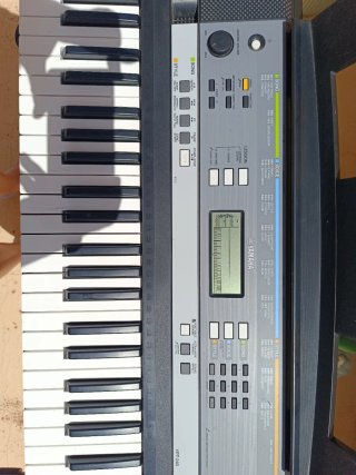 Teclado Yamaha YPT-240