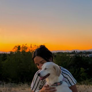 Paseadora de perros en Alcorcón y Madrid