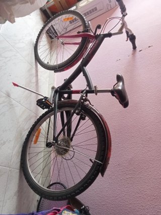 Bicicleta infantil 14-10 años ideal para niñas