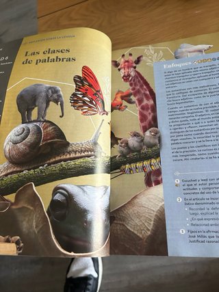 Lengua castellana y literatura I. Libro del est...