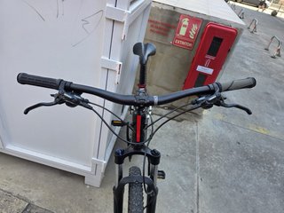 Bicicleta Orbea Alma ruedas 29