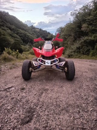 Gas Gas Wild 300 2T Roja
