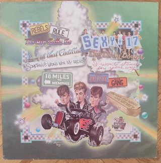 Vinilo Rant n' Rave Stray Cats