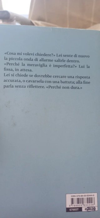 L'imperfetta meraviglia