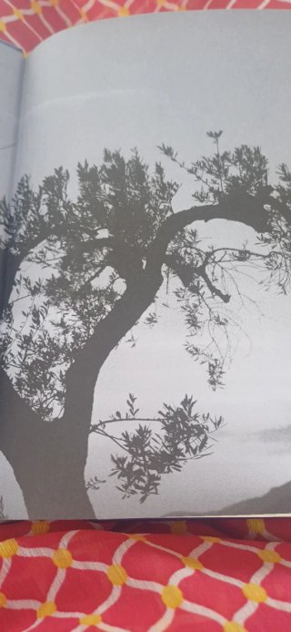 L'imperfetta meraviglia