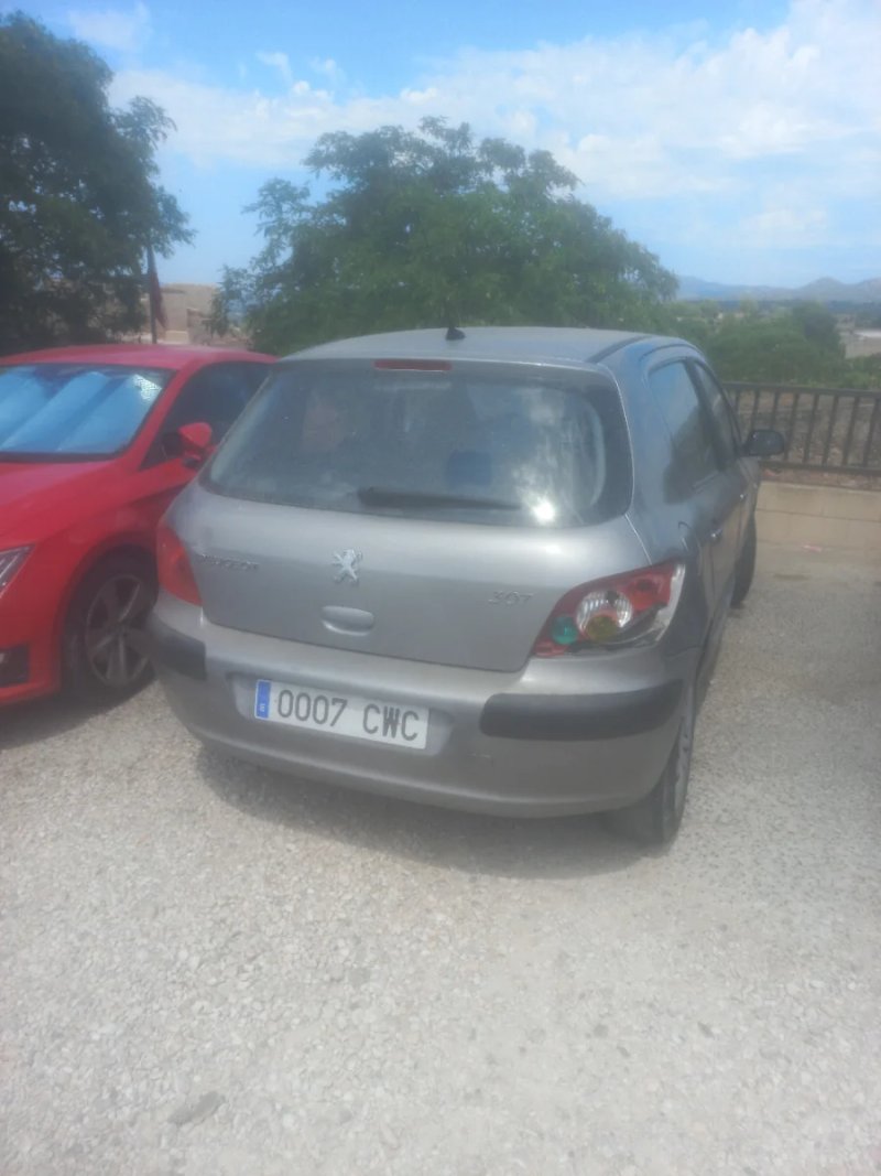 Peugeot 307 2004 - foto 1