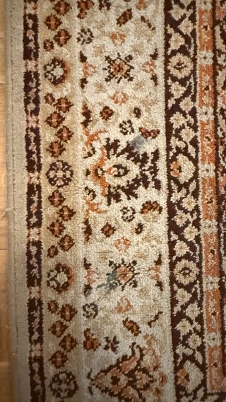 Alfombra estilo persa 170x235