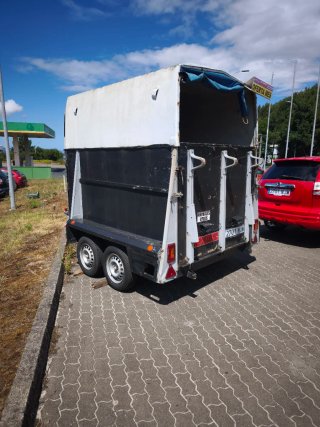 Remolque 2 caballos 1600 kg es un weshfalia