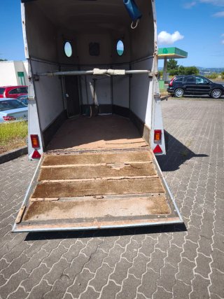Remolque 2 caballos 1600 kg es un weshfalia
