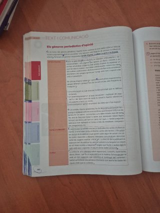 Puntal 4. Llengua catalana i Literatura 4 ESO