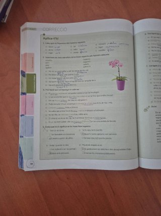 Puntal 4. Llengua catalana i Literatura 4 ESO
