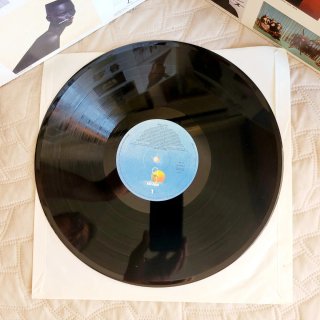 Vinilo LP 12" Grace Jones Island Life 80s