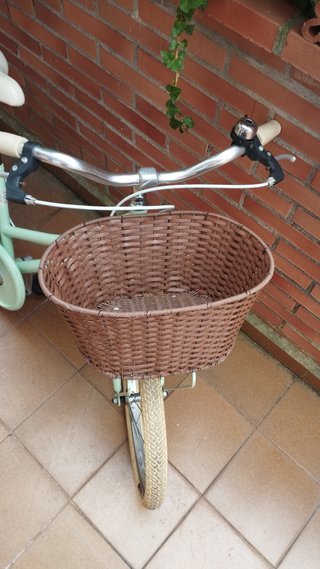 Bicicleta infantil Alpine 20 pulgadas con cesta