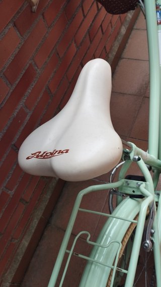 Bicicleta infantil Alpine 20 pulgadas con cesta