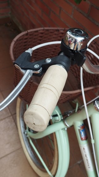 Bicicleta infantil Alpine 20 pulgadas con cesta