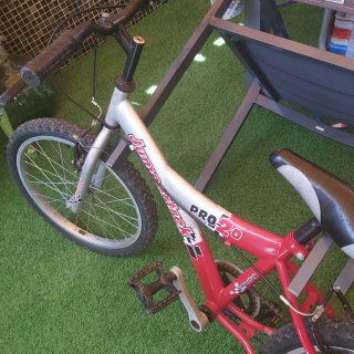 Bicicleta Jumpertrek Pro 20 Niños