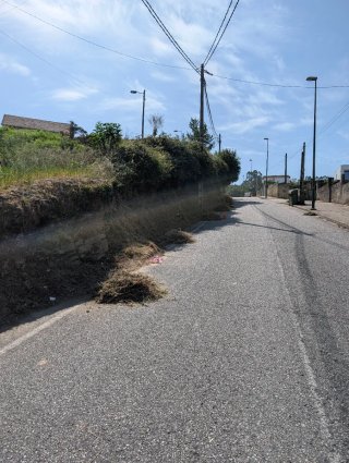 DESBROCES Y LIMPIEZA DE FINCAS Y TERRENOS!