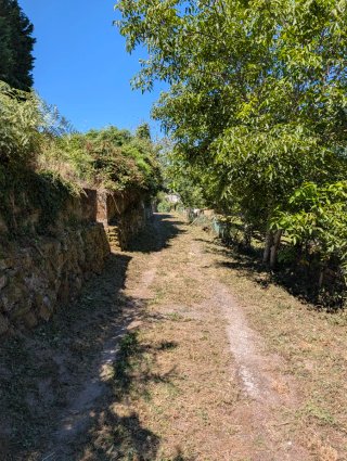 DESBROCES Y LIMPIEZA DE FINCAS Y TERRENOS!