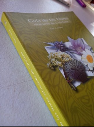 Guía de las flores silvestres de Chiclana
