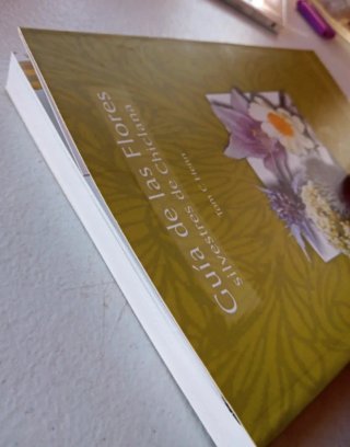 Guía de las flores silvestres de Chiclana
