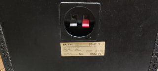 Altavoces Sony SS-E311