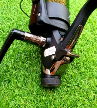 Carrete Daiwa SW 5000 BR